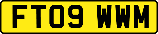 FT09WWM
