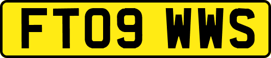 FT09WWS