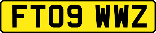 FT09WWZ