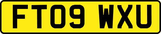 FT09WXU