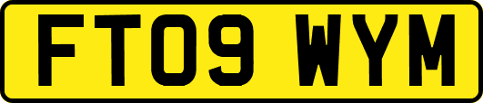FT09WYM