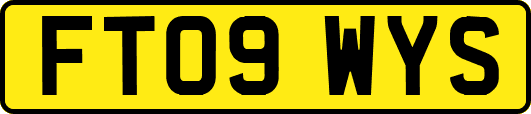 FT09WYS