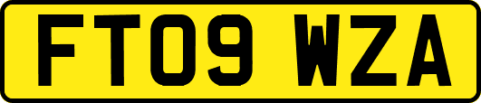FT09WZA