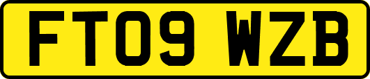 FT09WZB