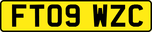 FT09WZC
