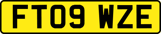 FT09WZE