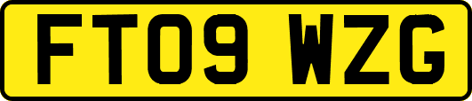 FT09WZG
