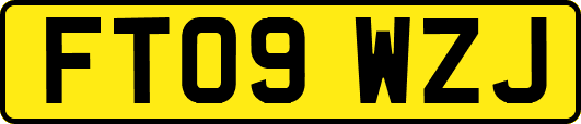 FT09WZJ