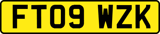 FT09WZK