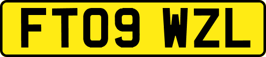 FT09WZL