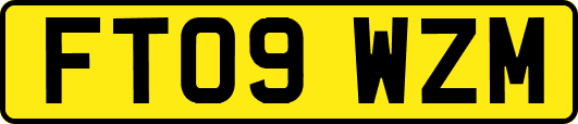 FT09WZM