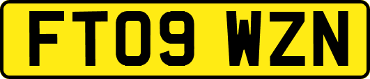 FT09WZN