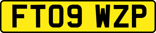 FT09WZP