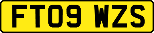 FT09WZS