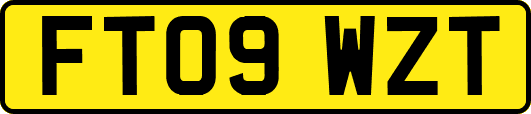 FT09WZT