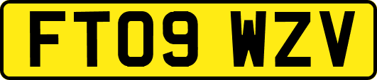 FT09WZV