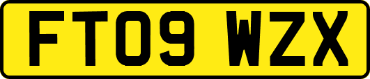 FT09WZX