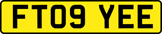 FT09YEE