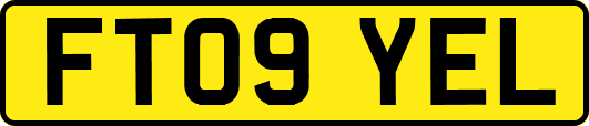 FT09YEL