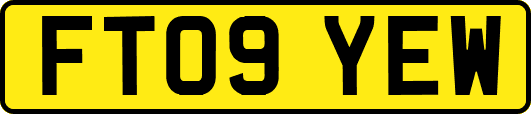 FT09YEW