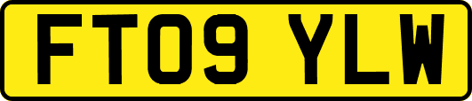 FT09YLW