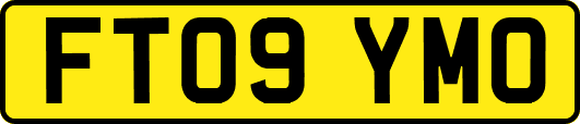 FT09YMO