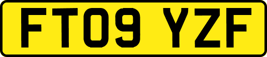 FT09YZF