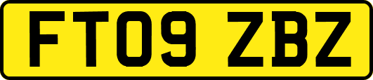 FT09ZBZ