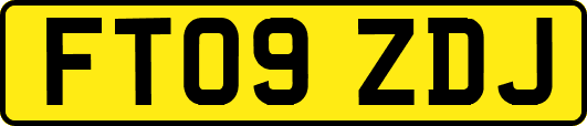 FT09ZDJ