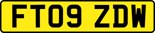 FT09ZDW
