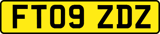 FT09ZDZ
