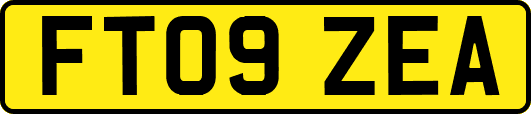 FT09ZEA