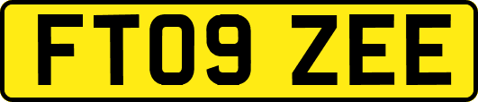 FT09ZEE