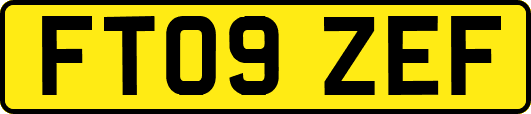 FT09ZEF