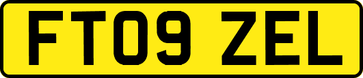FT09ZEL