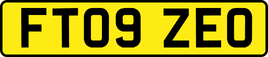 FT09ZEO