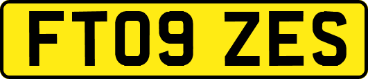 FT09ZES