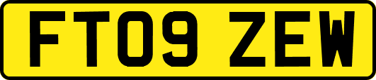 FT09ZEW