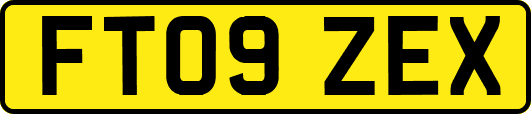 FT09ZEX