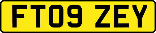 FT09ZEY