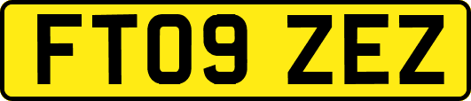 FT09ZEZ
