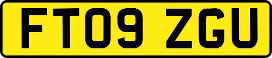 FT09ZGU