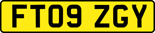 FT09ZGY