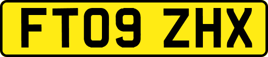 FT09ZHX