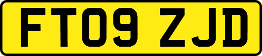 FT09ZJD
