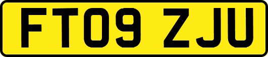 FT09ZJU