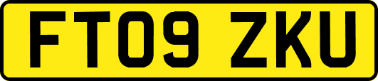 FT09ZKU