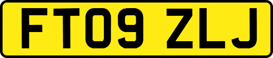 FT09ZLJ