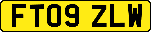 FT09ZLW