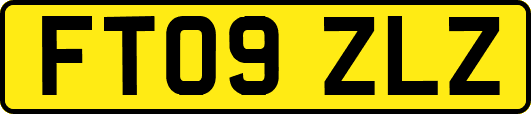 FT09ZLZ